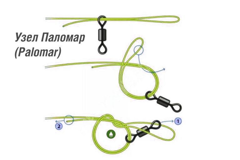 История происхождения узла Palomar (Паломар)